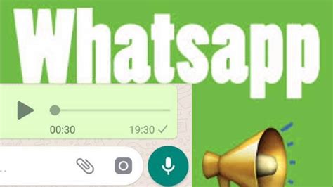 AUDIO WHATSAPP: A GORDINHA RAIOS DE SOL.